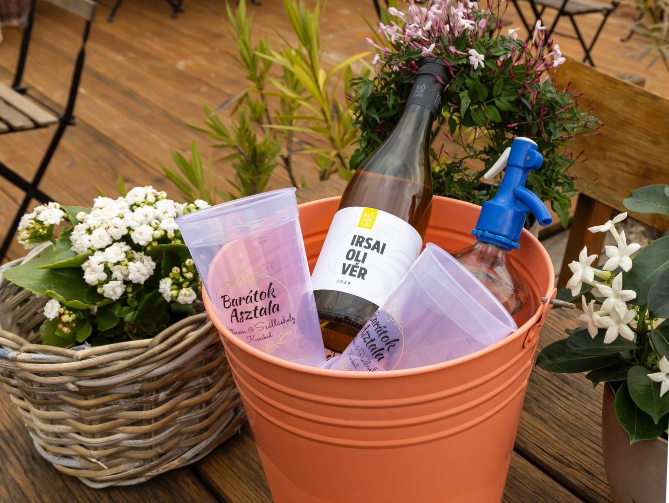 Untitled design - 11