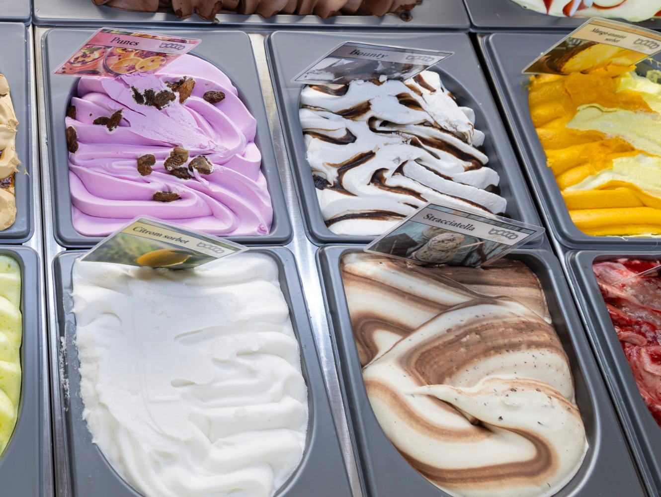 Untitled design - 12